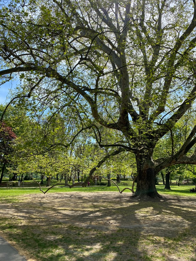 State Parks near Dublin, OH