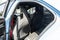 2023 Cadillac CT4 V-Series