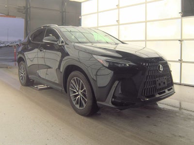 2024 Lexus NX 350 Premium