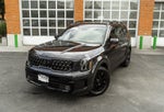2025 Kia Telluride SX-Prestige X-Pro