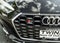 2022 Audi S5 Sportback Premium Plus quattro